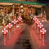 LAMPHOME 8PK 24" 192LED Lollipops Peppermint Pathway Markers with 11