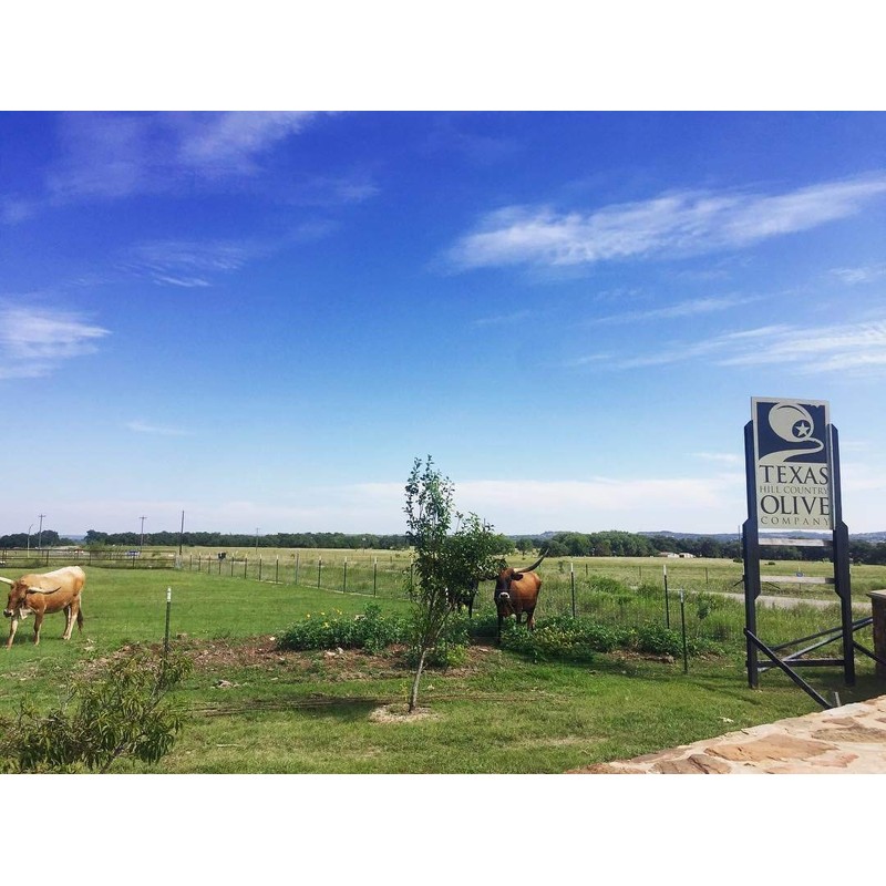 Texas Hill Country Olive Co Terra Verde Extra Virgin Olive