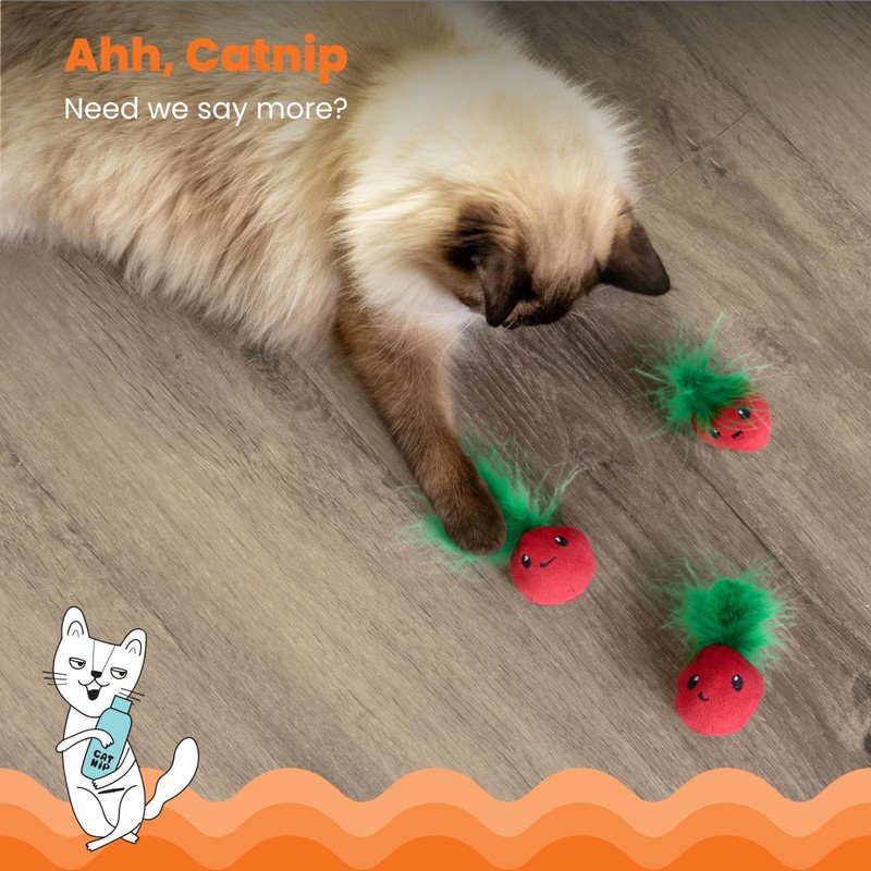 Catstages Strawbabies 3-Pack Catnip Cat Toys for Dental Health, Feather