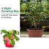 GRAFFY Pack of 4 Plant Cage Support, Folding Tomato Cage,