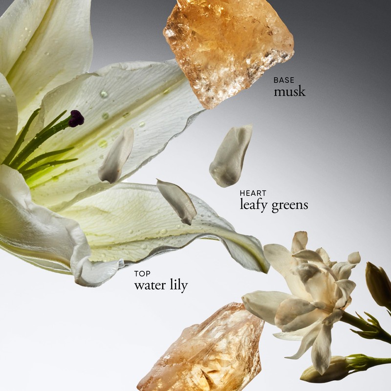 philosophy pure grace body spray - crisp & clean women's