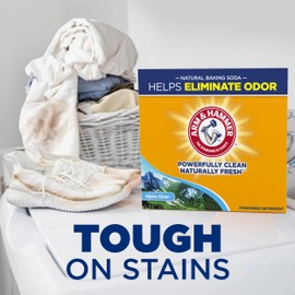ARM & HAMMER Powder Laundry Detergent, Alpine Clean, 9.56 lb, 155 Loads