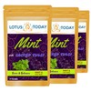 Tulsi Tea Sacred Holy Basil Tea , Sleepy Relax Herbal