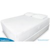 Set of 2 Standard Size SureGuard Pillow Protectors - 100%