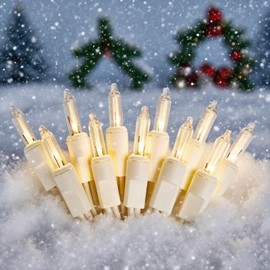 FGDECORJOIE Christmas Lights 100 Counts, Indoor Outdoor,Green Wire Connectable of Lighting String Warm White,Decorations for Holiday, Party,Festival,Christmas String Lights (White-Clear)