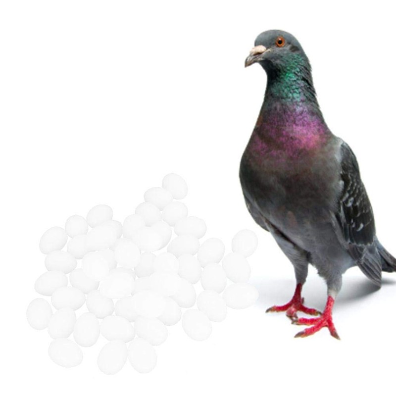 Cikonielf 50 Pieces Pigeon Eggs Solid Plastic Eggs Dummy Eggs