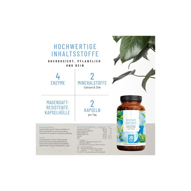NATURTREU Digestive Enzymes (Digestive Enzymes) - Enzyme Heroes: Enzyme Complex