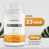 Saludvida México Fenogreco En Cápsulas 500Mg - 100 Cápsulas