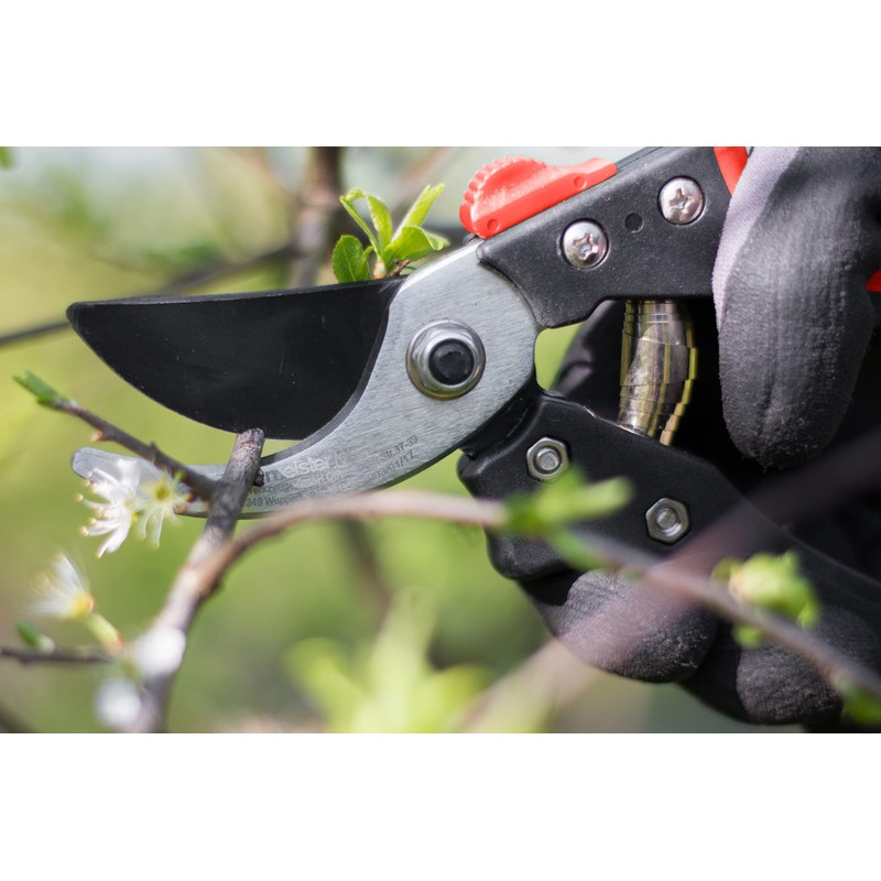 Meister 9719300 Bypass Secateurs
