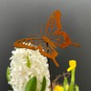 Decorative Garden Stakes, Butterfly Metal Decor for Lawn, Patio and