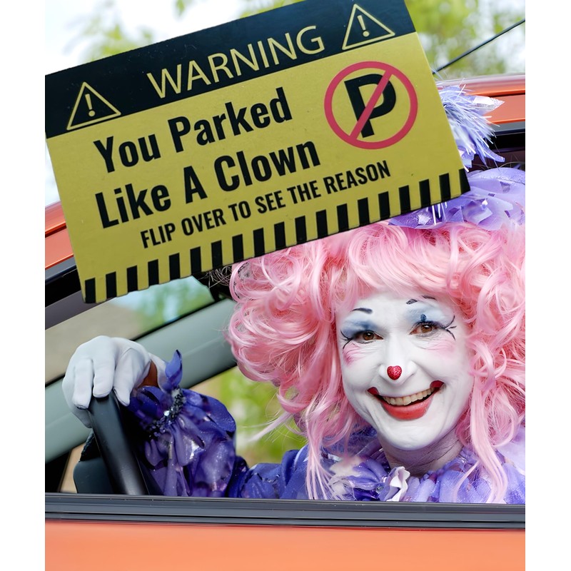 SHOPNOSIS Bad Parking Cards - You Parked Like an Idiot