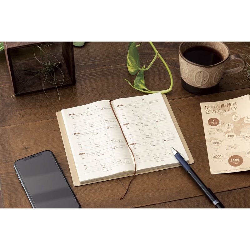 3 year walking diary