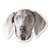 Magnet America Weimaraner Dog Magnet is 3.75" x 5" Made