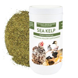 Kelp for Chickens & Duck Feed (5 Pound): Chicken Vitamins | Chicken Supplements | Vitamins for Chickens | Pampered Chicken Mama