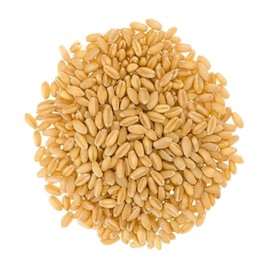 Certified Glyphosate Residue Free Soft White Wheat Berries | 15 LBS | Family Farmed in Washington State | 100% Desiccant Free | Non-GMO Project Verified | 100% Non-Irradiated | Kosher | Field Traced | Burlap Bag | (5 Pound, Pack of 3)