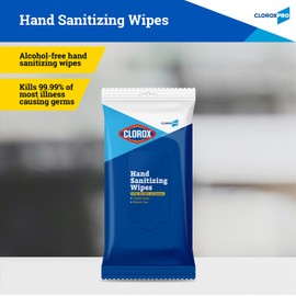 CLOROX Clorox Pro Hand Wipes in Resealable Pouch, 20 Ct | Clorox Alcohol Free Wipes with BZK | Clorox Hand Wipes, Travel Hand Wipes, Alcohol Free Hand Wipes, Wipes for Hands