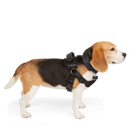 EveryYay Easy On Training Dog Harness, Black, Medium
