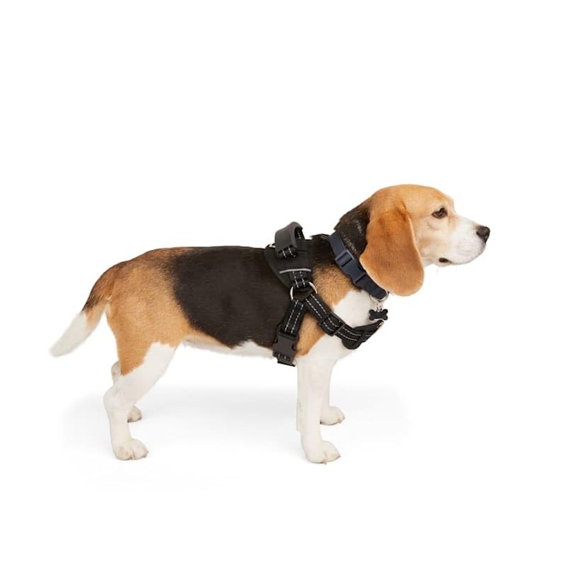 EveryYay Easy On Training Dog Harness, Black, Medium