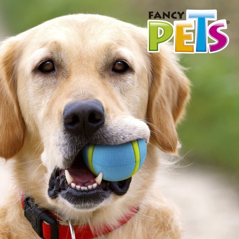 Fancy Pets Pelota Fetch Sport Color Azul para Perro