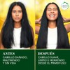 HERBAL ESSENCES BioRenew, Shampoo sin sulfatos ni parabenos para cabello