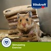 Vitakraft Crunch Sticks Hamster Treats Apple and Honey Flavor 2