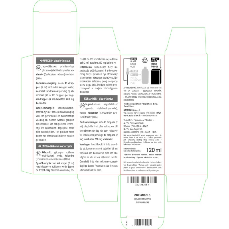 Coriander (Coriandrum sativum) Fruits Alcohol-Free Mother Tincture Naturalma Liquid Extract