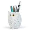 HDMbigmi Owl Pen Holder Makeup Brush Holder Resin Desk Organizer