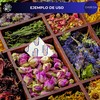 DABESA Absorbedores de Oxigeno para Alimentos 200 Sobres 100cc