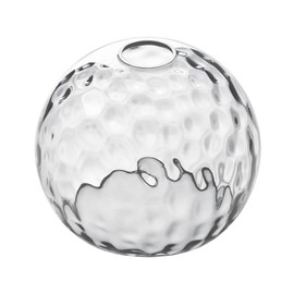 Fixture Replacement Globe Shade with 1.65 Inch Fitter, 8 Inch Diameter, E26 Base 1-5/8 Inch Fitter, Glass Lampshade Cover for Pendant Wall Sconce Chandelier Vanity Light (Hammered Clear)