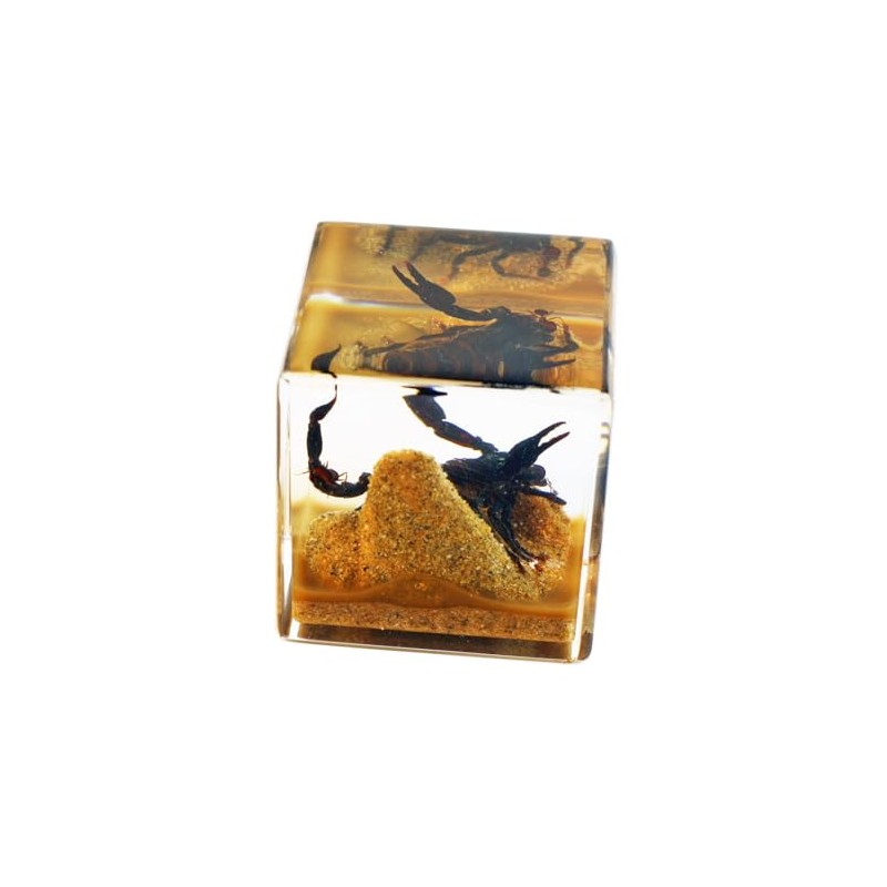 REALBUG 2" Black Scorpion Cube