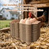 Homvik Half Dozen Farm Fresh Egg Cartons Bulk 6 Count