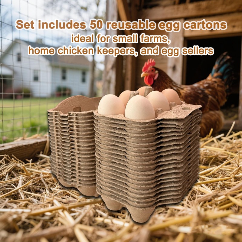 Homvik Half Dozen Farm Fresh Egg Cartons Bulk 6 Count