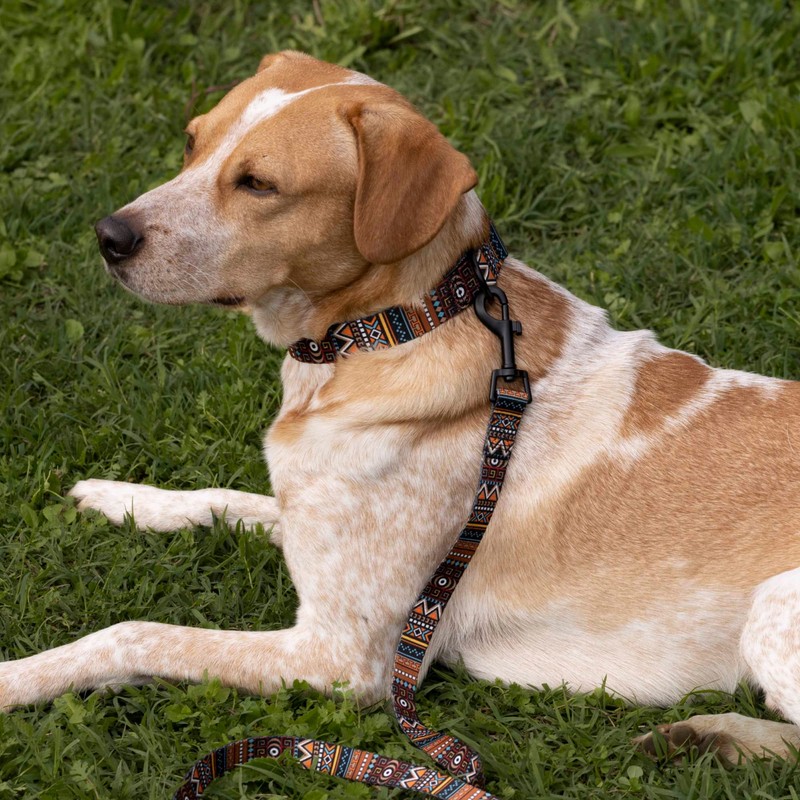 CollarDirect Tribal Dog Collar Aztec Pattern (Neck Fit 12"-16", Pattern