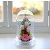 Art Four Seasons ○ Rose Eye "Glowing Rose" Firefly Pink