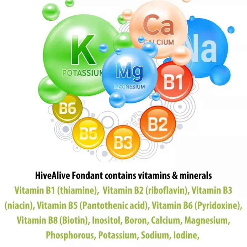 Hive Alive Fondant Bee Food Supplement - With Vitamins &