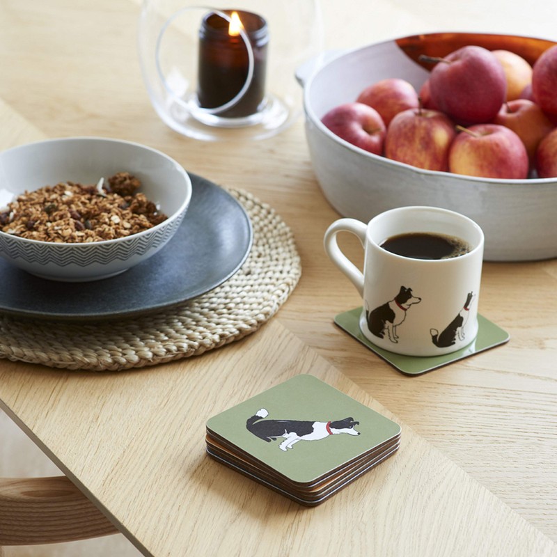 Sweet William Border Collie Coaster