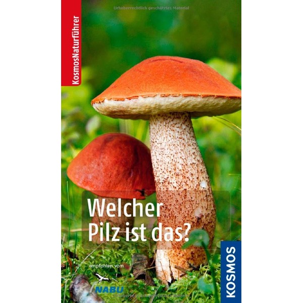 Welcher Pilz ist das?