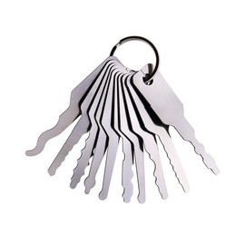 Moli 10pcs Car Lock Pick Tools,Master Key for Car