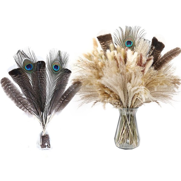 Bpole 2-in-1 Pampas Grass Decor - 100pcs Dried Pampas Grass