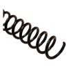 Espiral Negro Para Engargolar Paso 3:1 (36 Vueltas)