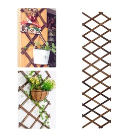 Reagia Wooden Lattice Wall Planter Garden Fence, Extra Thick Expandable Plant Climb Hanging Frame Trellis Plant Support Fence Indoor Air Plant Vertical Rack Fairy Garden for Room Patio Garden