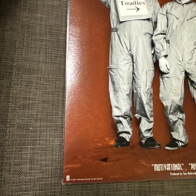 Toadies Hell Below/Stars Above 12x12 Album Cover Promo Poster DS