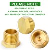 TAISHER 20 Pcs Brass Outer Hex Thread Socket Pipe Plug