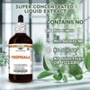 Triphala Glycerite, Made in Hawaii, All Natural, Vegan, Lab Tested