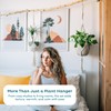 Nook Theory 4-Pack Macrame Plant Hangers with 8 Hooks -