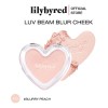 Rubor Maquillaje Coreano Original Douyin Brocha Set Suave Peach Blur