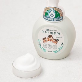 Aikkaekkeutae 아이깨끗해폼핸드솝 그린티향250ml I Clean Foam Hand Soap Green Tea Scent 250ml