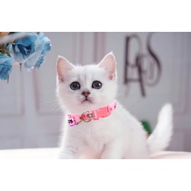 Purple Kitten Collar with Bell,Rabbit Pattern Cat Collar Girl Cute Fancy Puppy Collar with Bells for XXS XS Tiny Little Kitten Pet Female Dogs,Neck 7-12 Inch