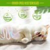 BAWAN Catnip Toys‖ Silvervine for Cats: Cute Cat & Kitten