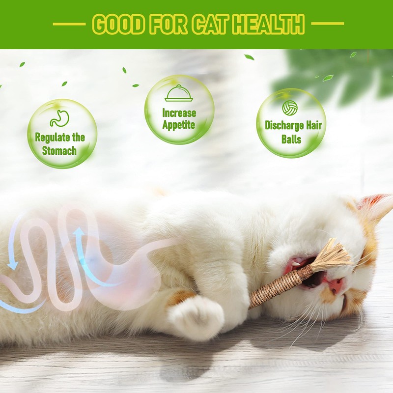 BAWAN Catnip Toys‖ Silvervine for Cats: Cute Cat & Kitten